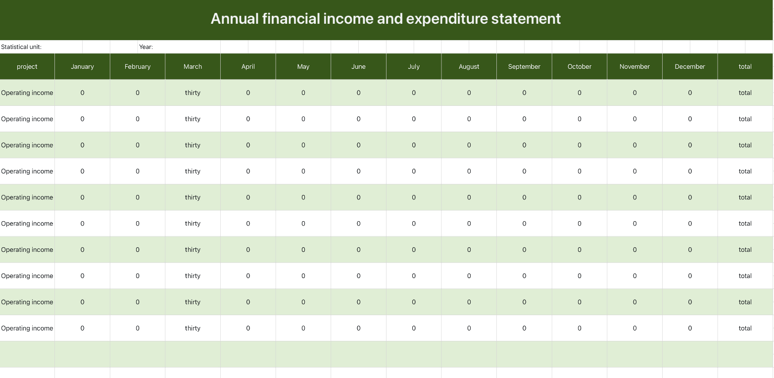 Annual Financial Income and Expenditure Statement 1
